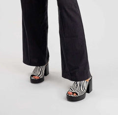 Mule Zebra