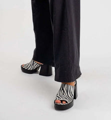 Mule Zebra