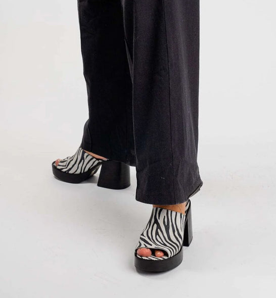 Mule Zebra