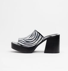 Mule Zebra