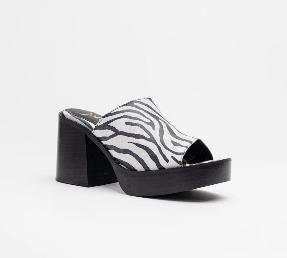 Mule Zebra