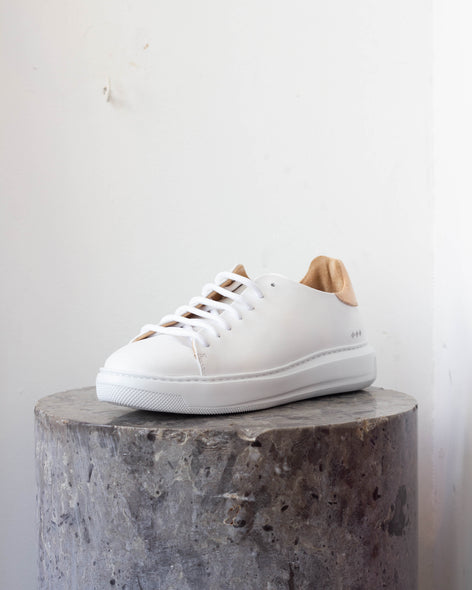 Cosmos Accent Derby Shoe