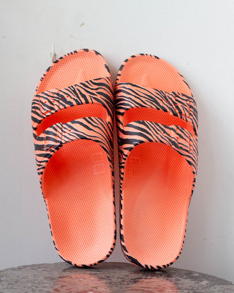 Zebra Capri