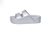 High Silver Slides